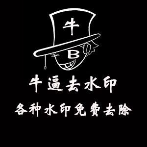 牛逼去水印游戏