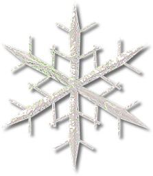 飘飘小雪花游戏